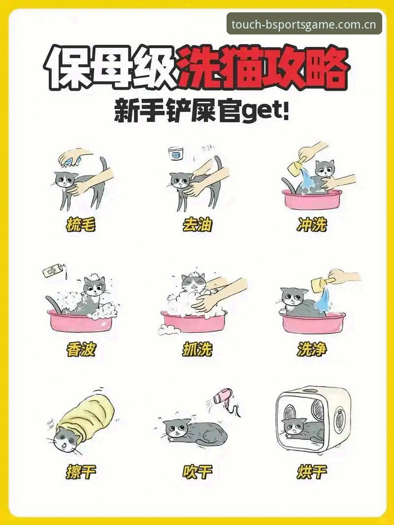 新手必看：Bsports体育竞猜平台使用心得，从安装到投注全攻略